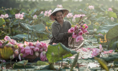 早上好，荷花花园