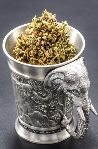 WeedInACup07
