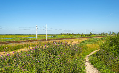 在夏天，铁路穿过一片阳光明媚的风景