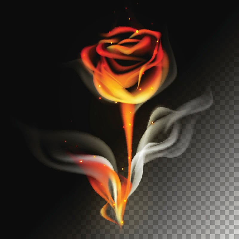 Fire_rose