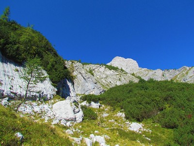 高山景观