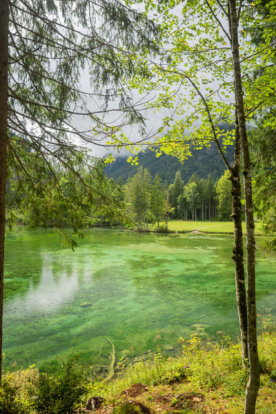 Schiederweiher，美丽的奥地利湖，靠近Hinterstoder