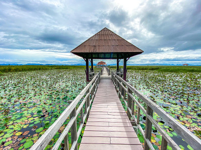 Sam Roi Yot淡水沼泽，走过沼泽，在泰国Prachuap Khiri Khan的Sam Ro