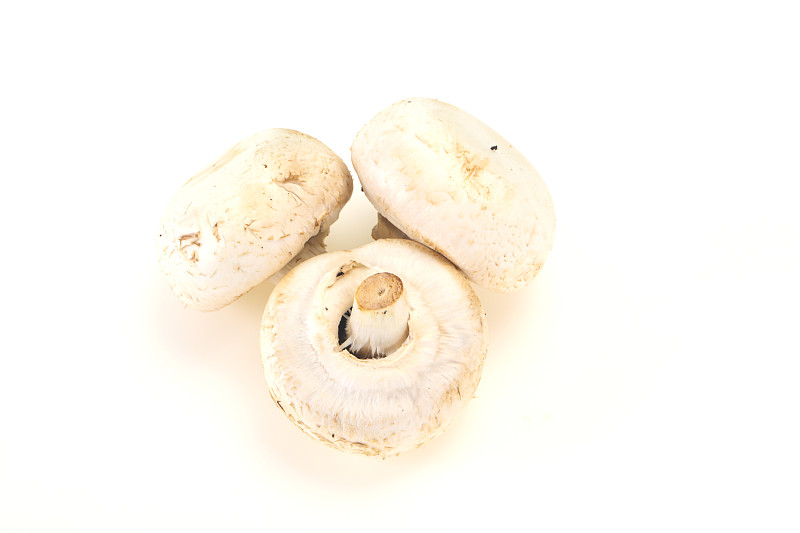 生蘑菇堆煮