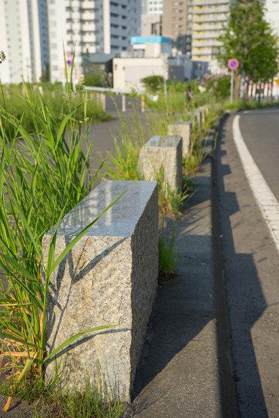 肩膀和道路