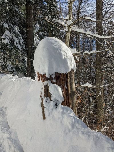 苏黎世高原上一座大山上的冬季景观。冬天有很多的雪和阿尔卑斯山的景色。