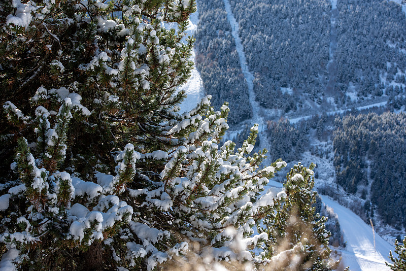 世界杯赛道在安道尔的格兰德瓦利拉滑雪区。