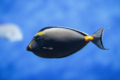水族馆