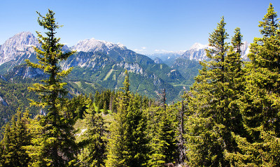 蓝山