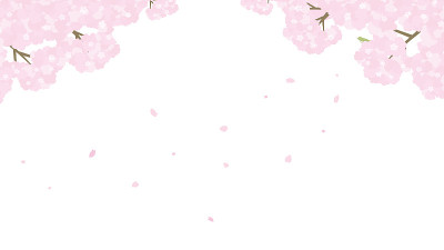 樱花框架说明