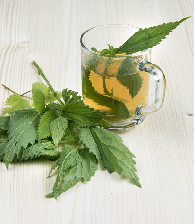 荨麻茶和一些荨麻在木桌上