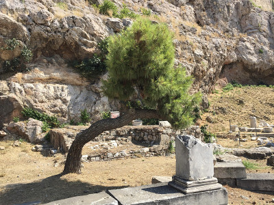雅典卫城(Acropolis of Athens)的遗迹一览无余，这是位于雅典城上方岩石上的一座古代