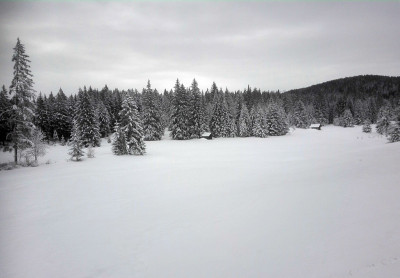 山上下大雪