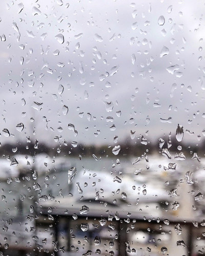 Windows上的雨滴