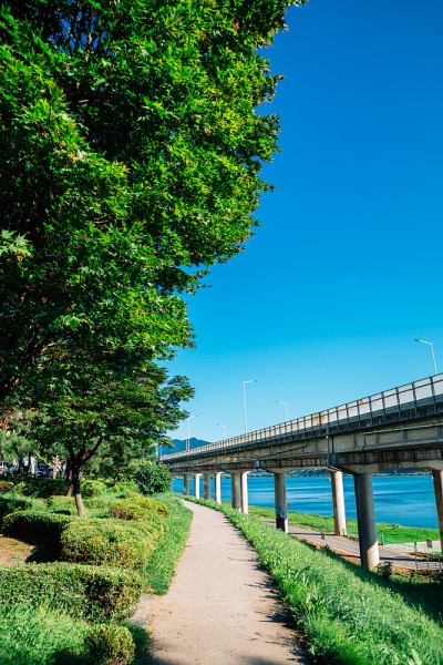 南阳州夏季汉江公园位于韩国桑培区