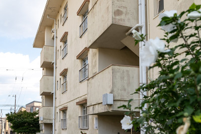 20世纪60年代的老住宅综合体，船桥，千叶，日本