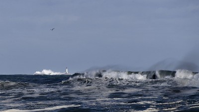 群岛的浅滩
