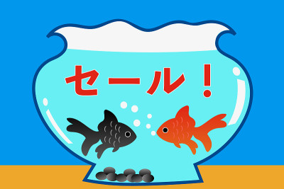 金鱼,鱼缸