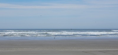 海洋海岸