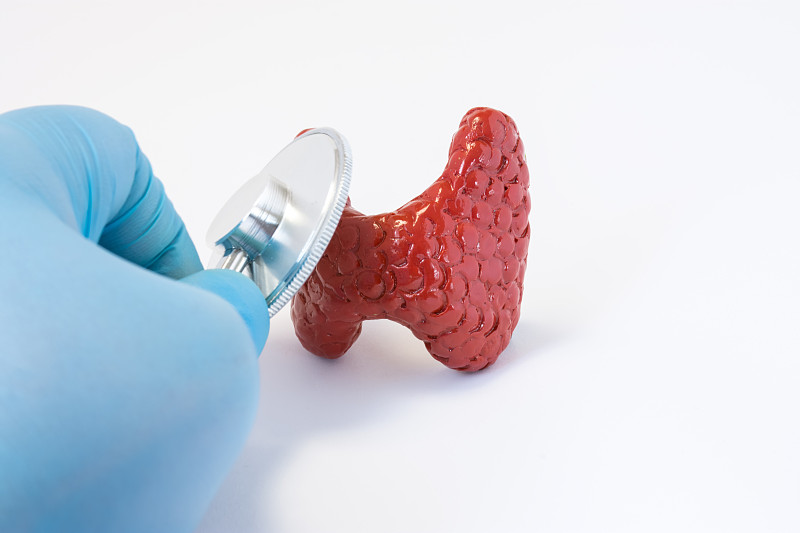 医生手戴手套，配有听诊器和3D甲状腺形状。外科医生或全科医生进行术前诊断或甲状腺疾病诊断的照片想法