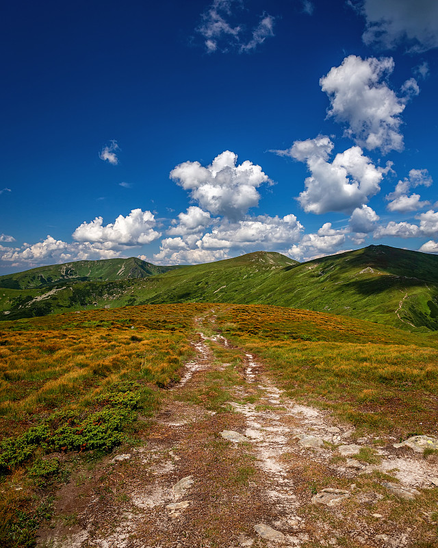 喀尔巴阡山脉的夏日美景。