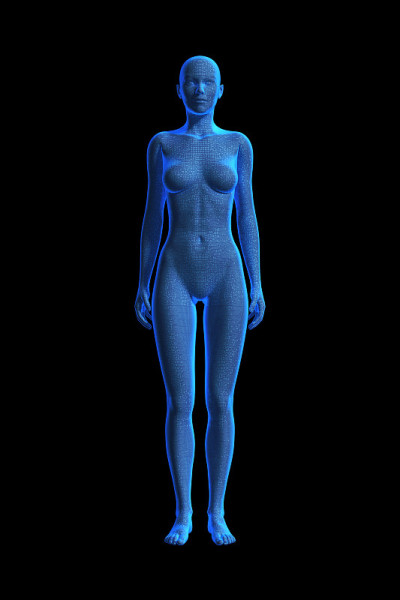女人，人类女性的身体，3D