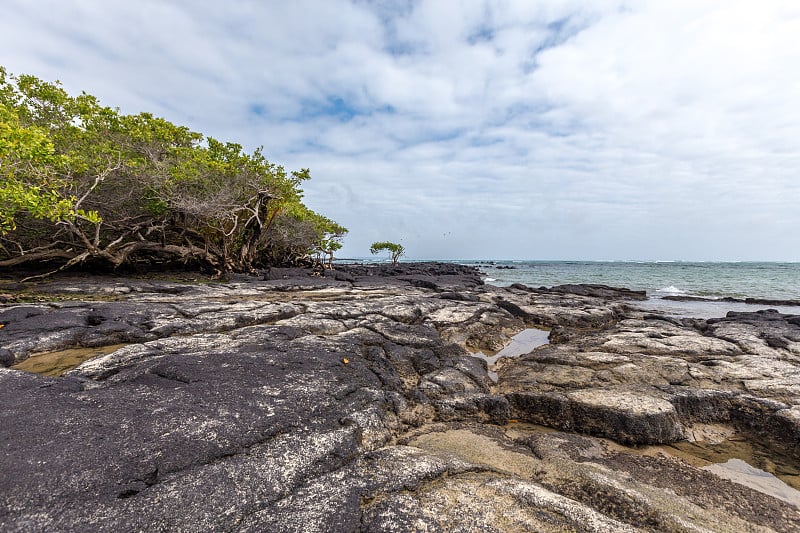 Puerto Villamil, 伊莎贝拉, 加拉帕戈斯