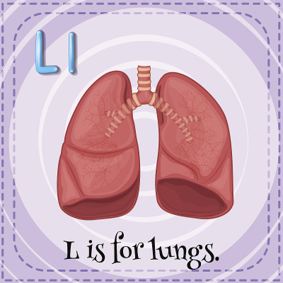 字母L