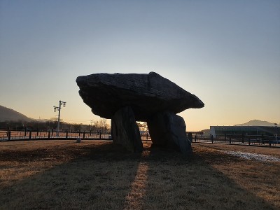 蝙蝠在韩国
