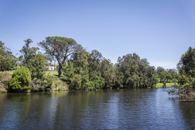 Parramatta公园，Parramatta，悉尼，澳大利亚