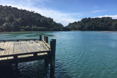 科罗曼德尔大教堂海湾地区的自然之美