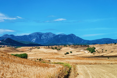 乡村景观Villasor卡利亚里南撒丁岛