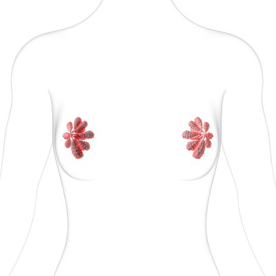 乳腺解剖学的医学概念3D