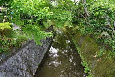 哲学家的道路