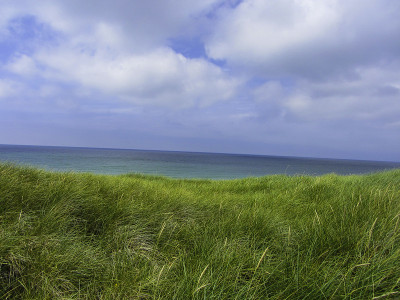 草地Sylt德国背后的海景