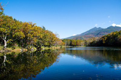 知床五湖(知床五湖)[第四湖]和知床山与秋叶，知床，北海道，日本