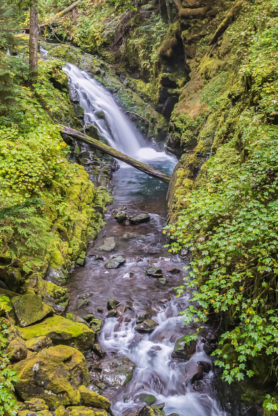 Cascades, Sol Duc河，奥林匹克国家公园，WA