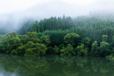 京都湖上的晨雾