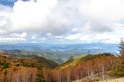 日本的秋景