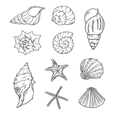 涂鸦海星和贝壳设置，手绘海的符号。用墨水、笔画的化石。线,极简主义。