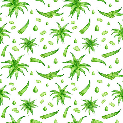 水彩芦荟无缝图案。手绘新鲜肉质植物，芦荟汁和油滴，叶片孤立在白色背景。植物设计用于化妆品、包装、设计