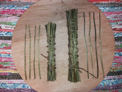 干蓍茎易经占卜