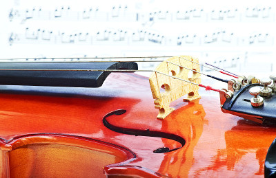 Viol?N