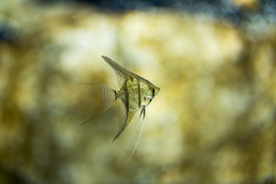水族馆