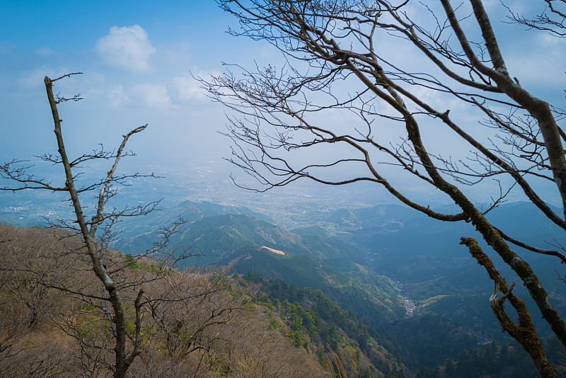 日本，石原慎太郎，春天在山上远足