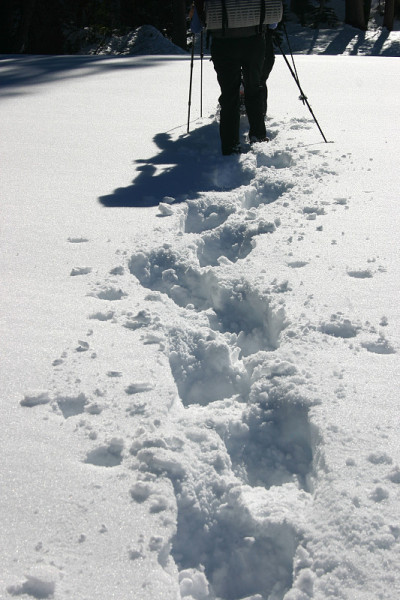 穿着雪鞋走
