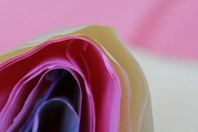 纸