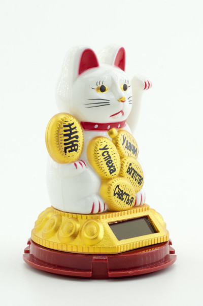 猫与太阳能电池板在白色背景