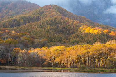 美丽的秋景神上湖或镜池在Togakushi，日本长野