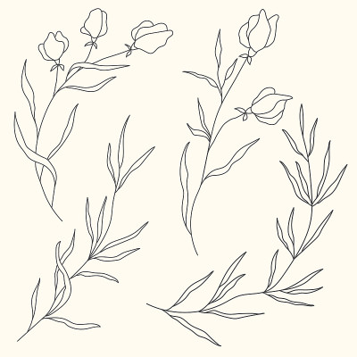 矢量线花